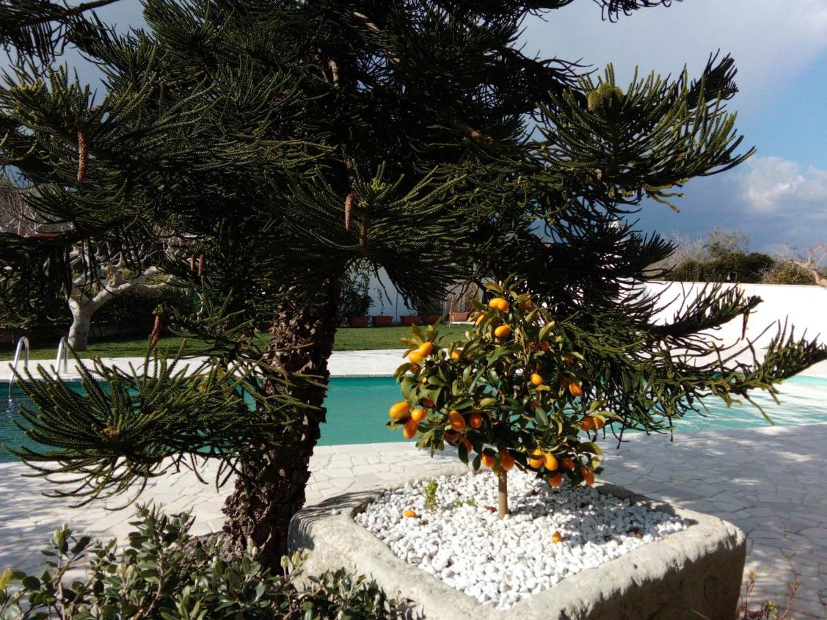 Casa Vacanza Augusto Uggiano La Chiesa Εξωτερικό φωτογραφία